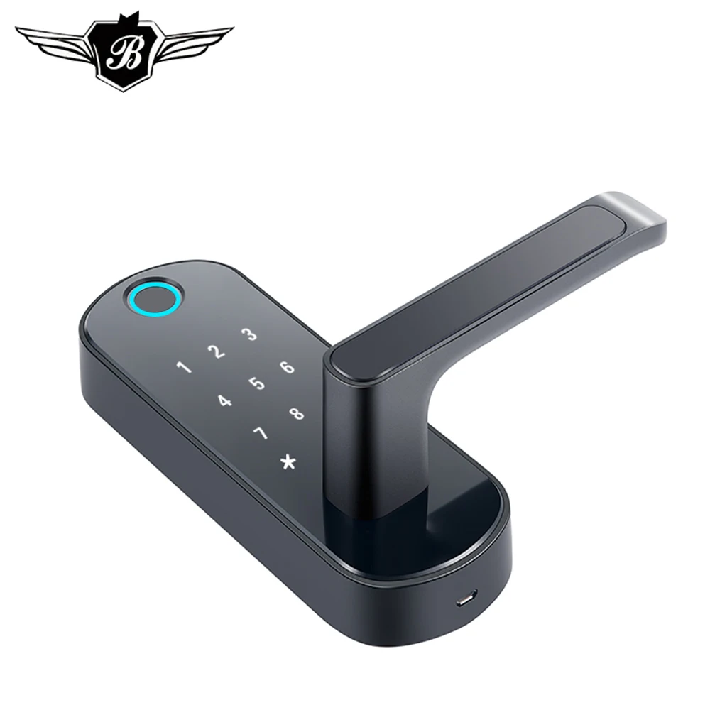 Биометрическая безопасность интеллектуальная отпечатков пальцев домашний