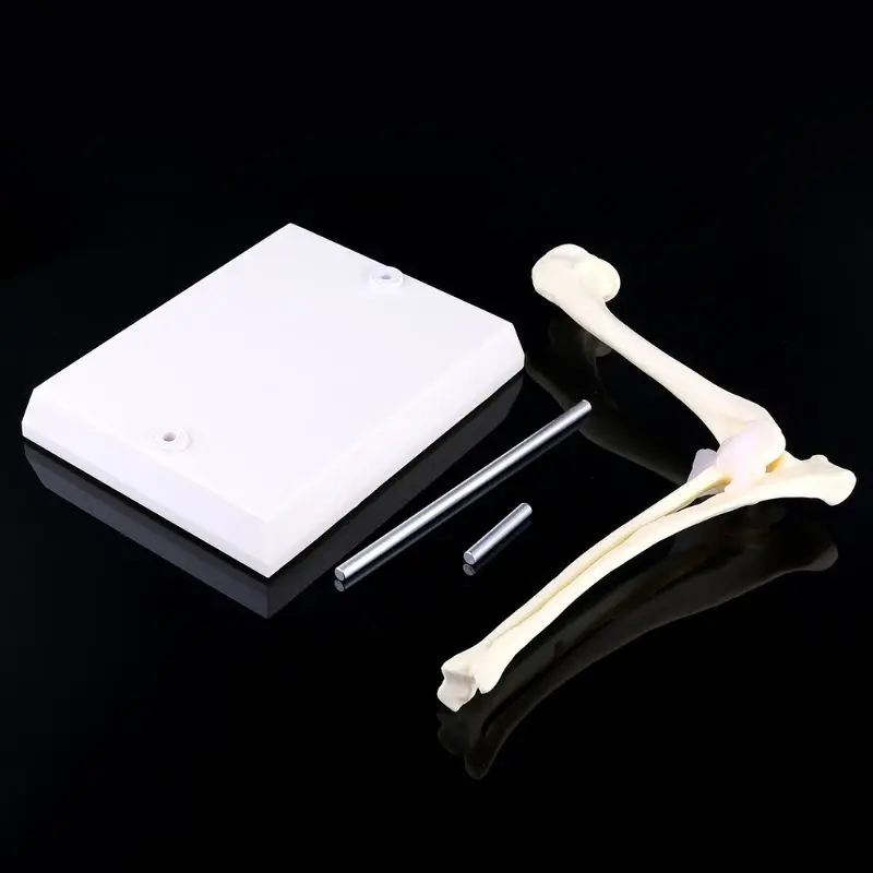 

Educational Equipment & Supplies