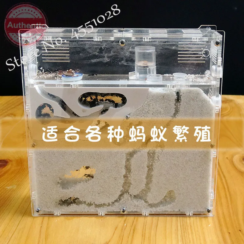 Новая мастерская для муравьев экологичное акриловое гнездо песчаное песчаный