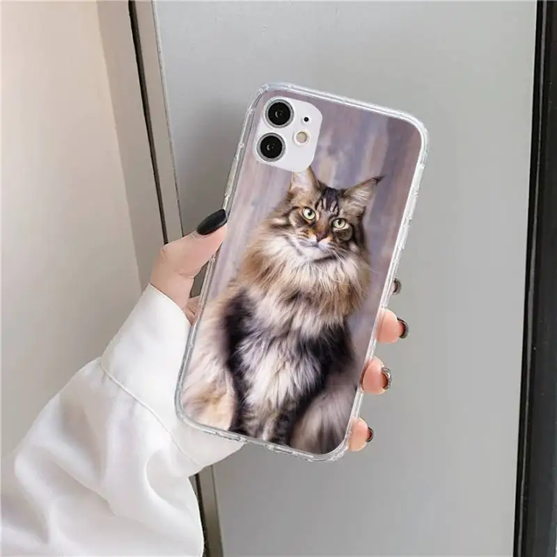 

pet maine coon cat animal Phone Case Transparent soft For iphone 5 5s 5c se 6 6s 7 8 11 12 plus mini x xs xr pro max