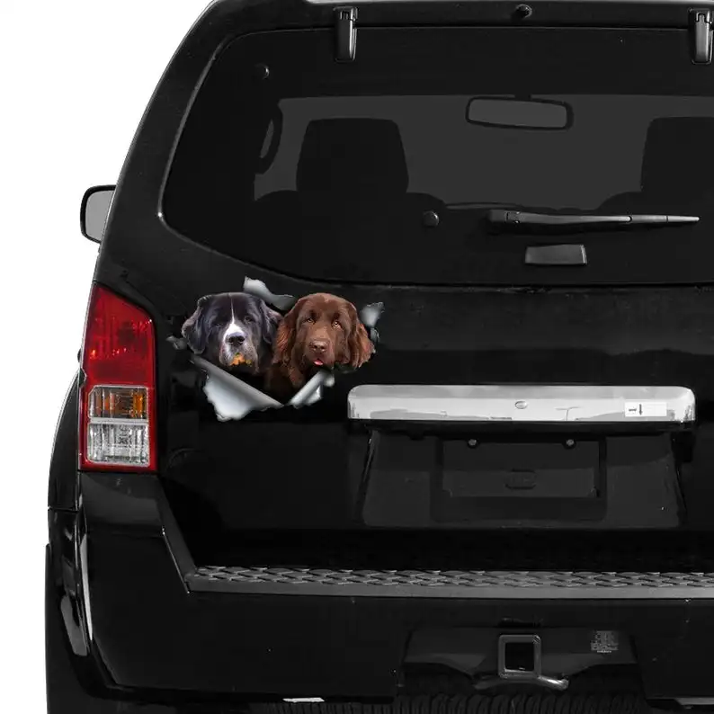 

2021 Newfie car decal, Newfie magnet, Newfoundland sticker, newfoundland print