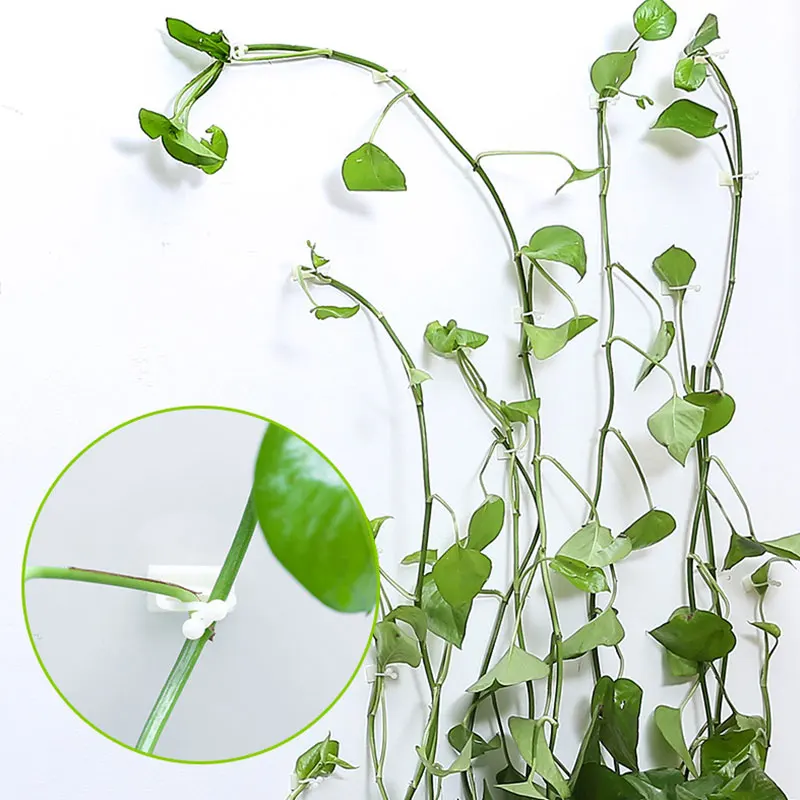 

10Pcs Invisible Climbing Plant Fixer Green Plant Wall Sticky Vines Fixture Balcony Garden Decoration Holder Hook Cable Manager