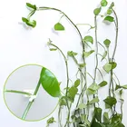 10 шт., невидимые фиксаторы для подъема растений на стену