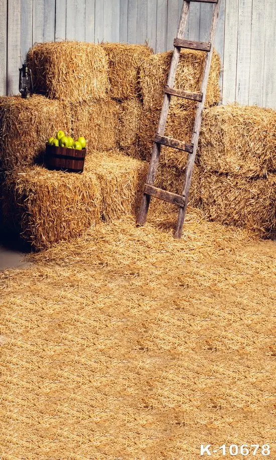 

Haystack Children Photo Background Wooden Ladder Farm Warehouse Backdrops Green Apple Newborn Backdrop for Photo Studio
