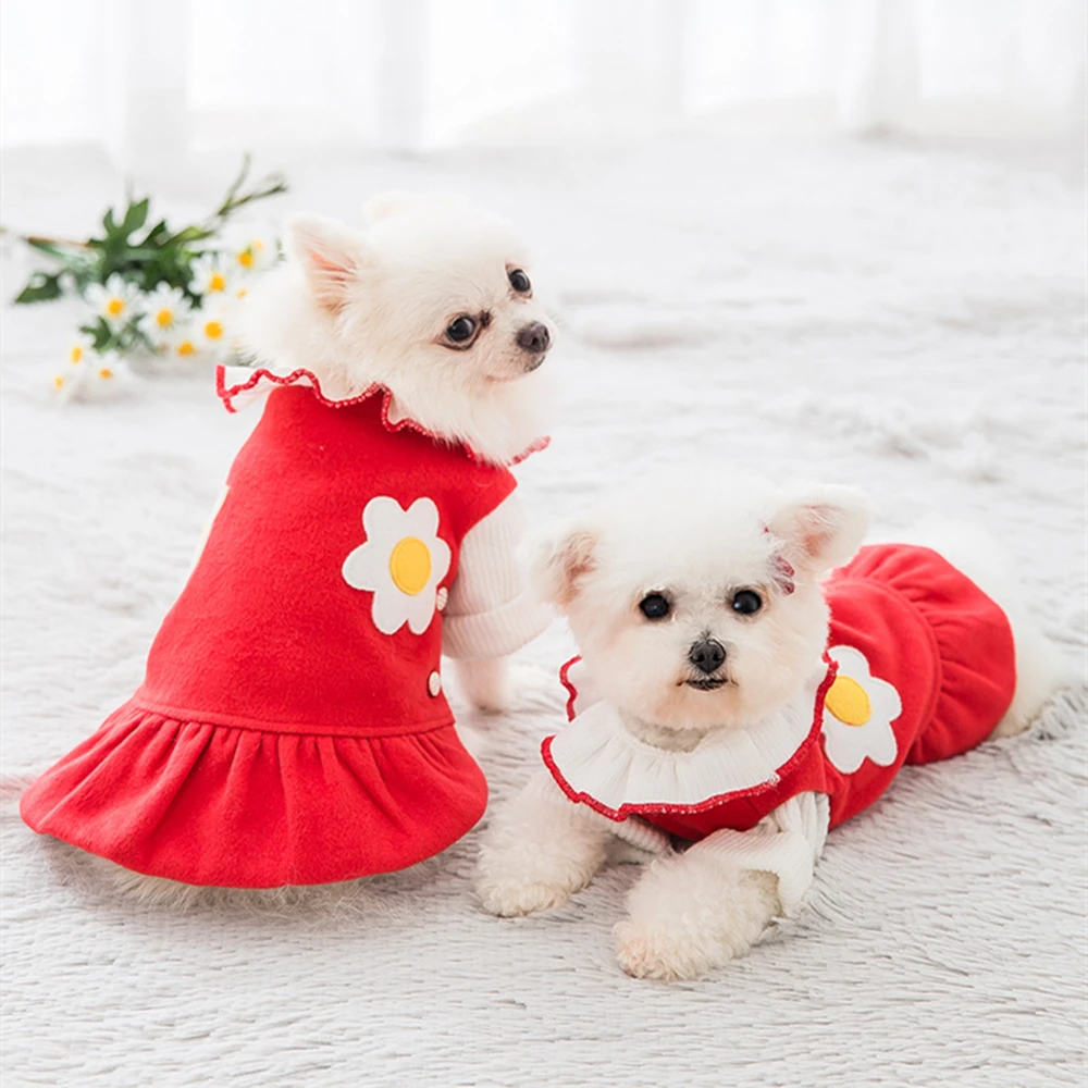 

Cute Daisy Little Red Dress Dog Dress Teddy Small Dog Clothes Cat Woolen Dress Dog Winter Clothes Dog Knitted Clothes
