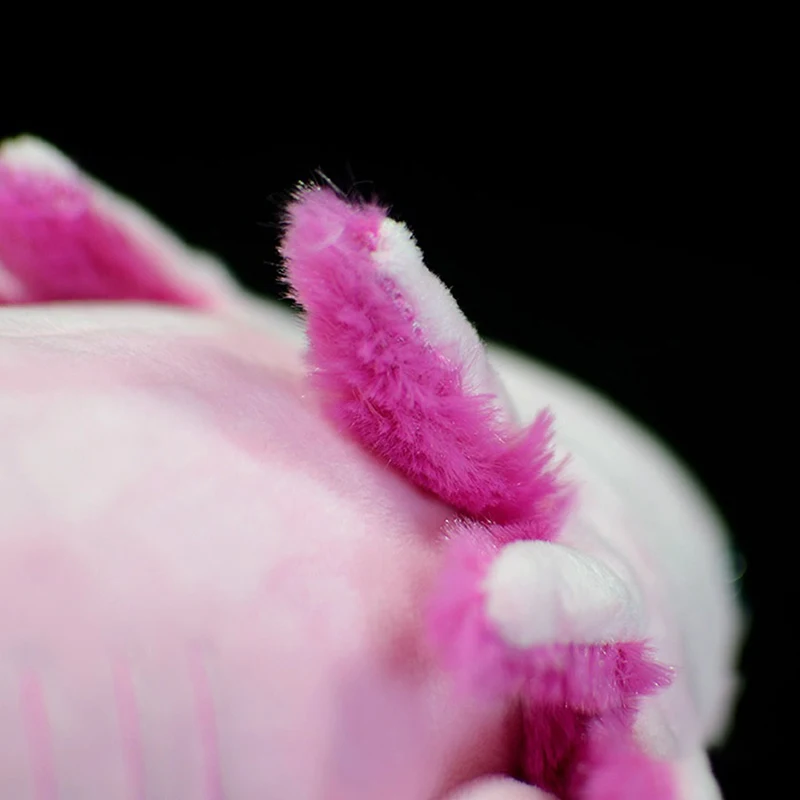 Axolotl-juguete de peluche suave de 50cm para ni&ntilde;os, dinosaurio rosa de simulaci&oacute;n realista, modelo de Animal para ni&ntilde;os, regalo para adultos-4