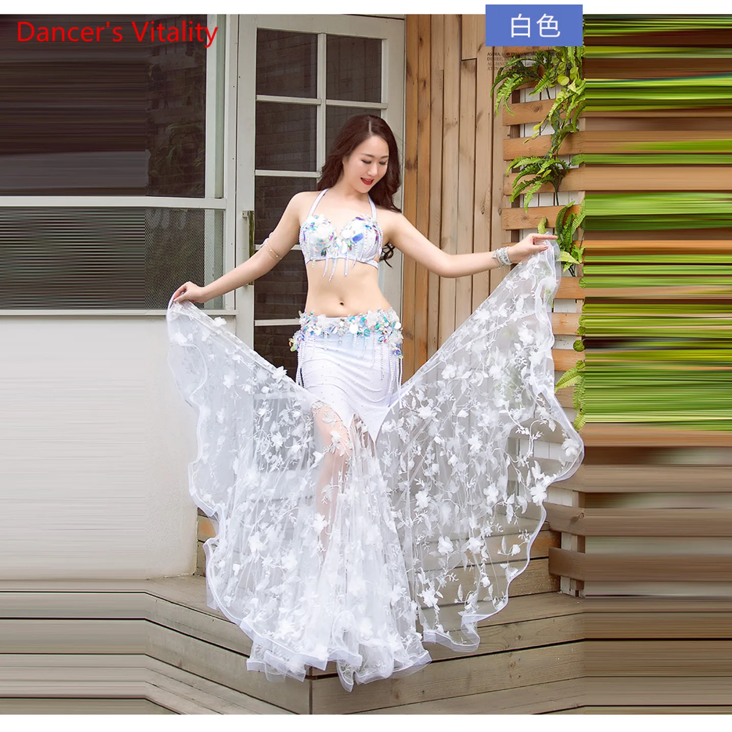 Роскошный Алмазный Восточный Танец Наряд Женщины Piece 2 Performance Живота Бюстгальтер +