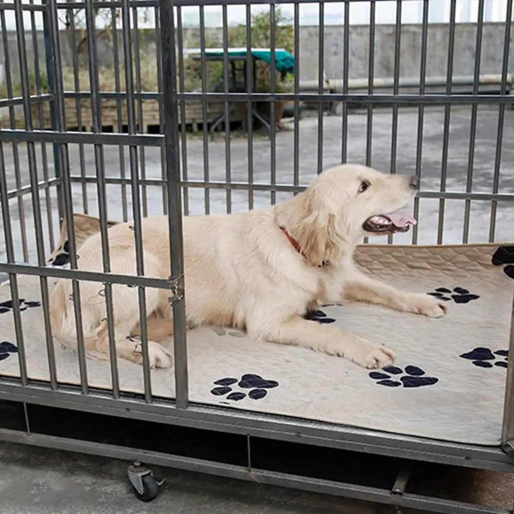 

Reusable Diapers for Dog Urine Pet Dogs Absorbent Mat Puppy Training Pad for Small Dog Oversize Waterproof Diaper Sleeping Bed