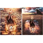 Алмазная живопись 5D полная квадратнаякруглая вышивка Лев алмазная живопись вышивка крестиком Мозаика картина M1097