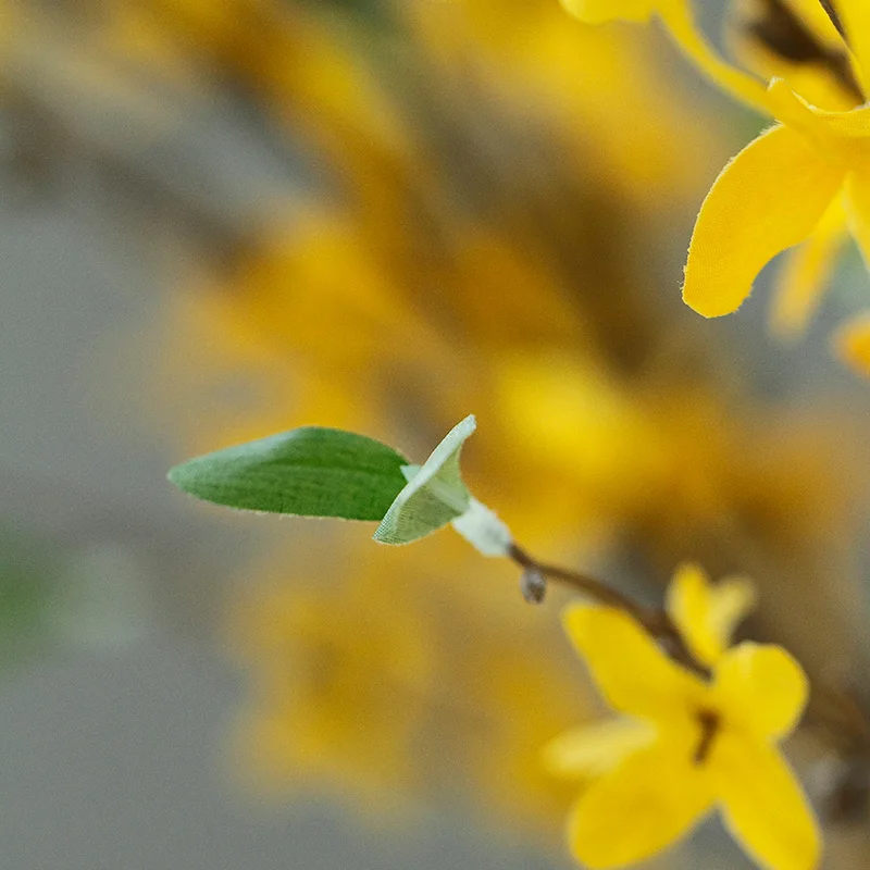 Химонант праэкокс тапочки отличного качества Декорированная цветами искусства