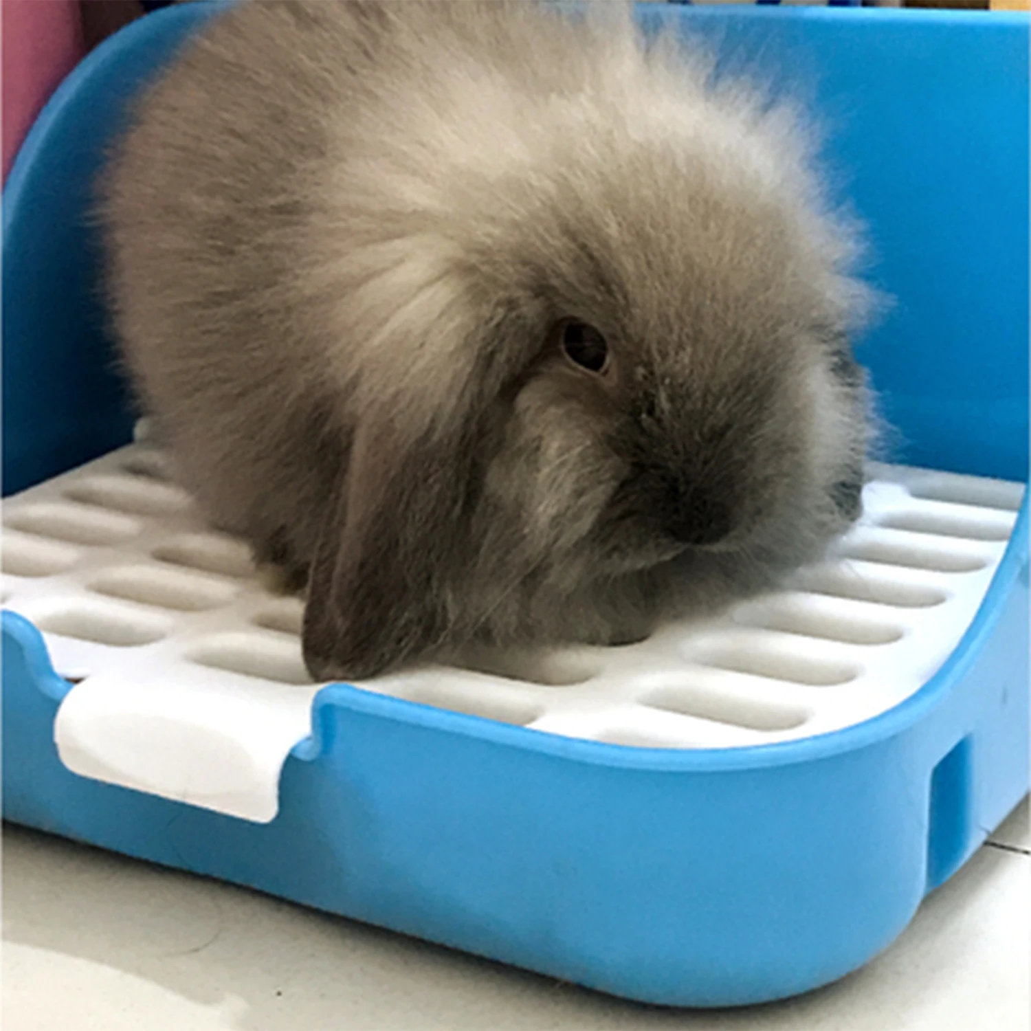 Портативный тренировочный туалет для собак домашний домашних животных