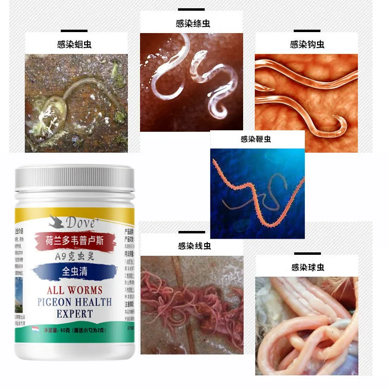 

50g powder, pigeon deworming and weight loss, watery stool, roundworm, tapeworm, nematode, bloody stool