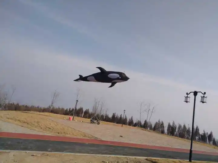 10M Inflatable Orca kite from kaixuan factory | Игрушки и хобби