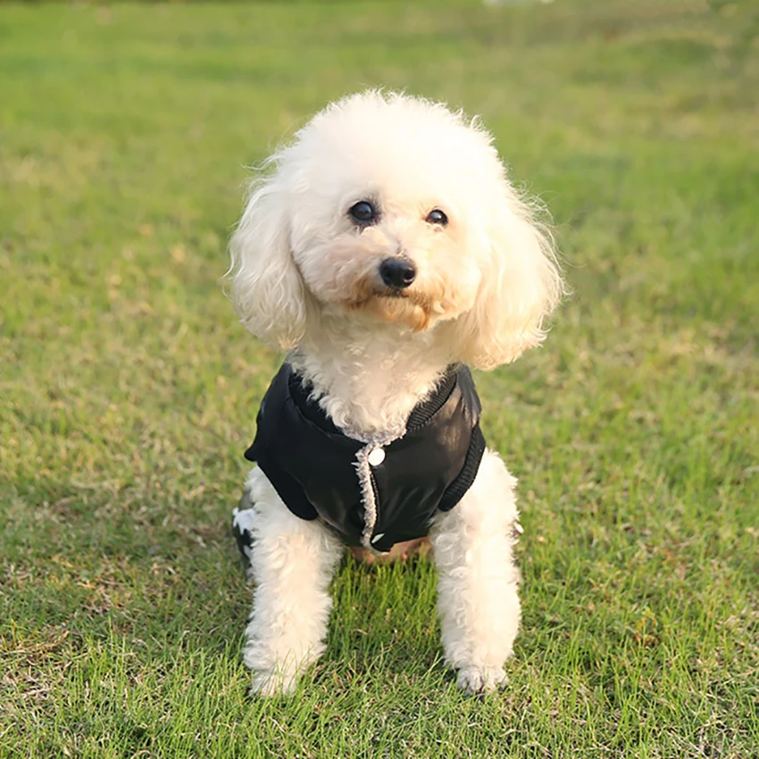 Зимняя одежда для домашних животных собак камуфляж собака щенок куртка питомца