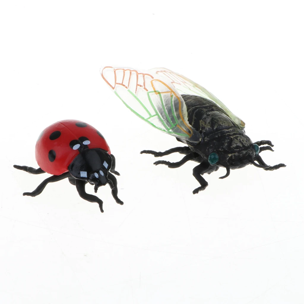 

6Pieces Realistic Insects Plastic Bugs with Magnifier for Kids Teaching Aids