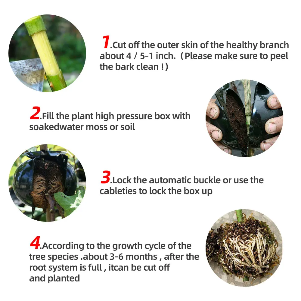 9/6/3 шт. Пластик завод укоренения мяч прививка рост литейный Ящик Контейнер для