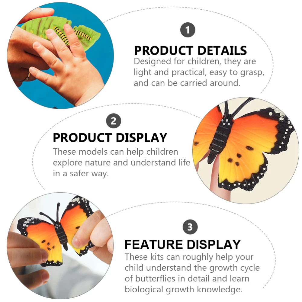 

3 Sets Realistic Insect Growth Models Butterflies Display Cognitive Toys