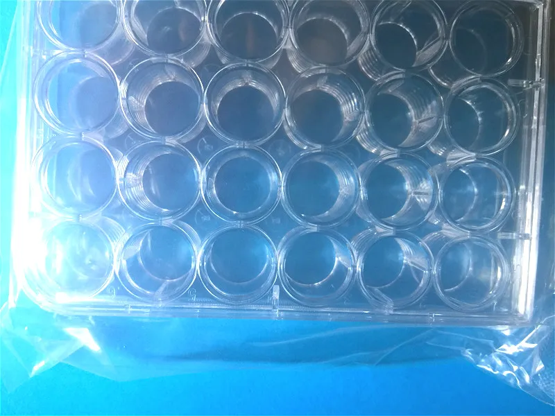 Одноразовая пластина для клеточных культур 24 лунки с крышкой пластинчатые