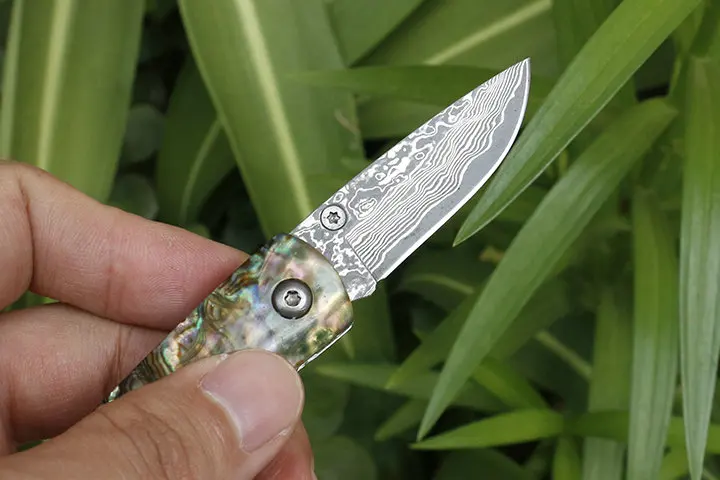 

Damascus Steel Blade Folding Knife Outdoor Camping Knife Mini Tool Keychain Knife Outdoor Edc Tool Personalize Smart Gift