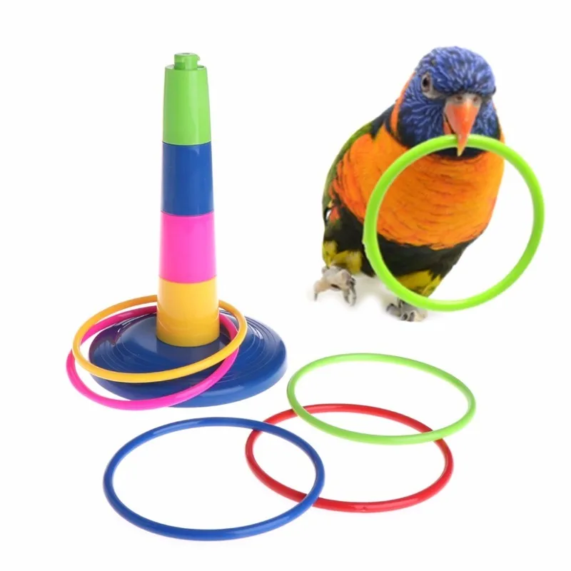 

Bird Parrot Toy Intelligence Development Educational Interactive Toys Bird Training Puzzle Pet Birds Supplies