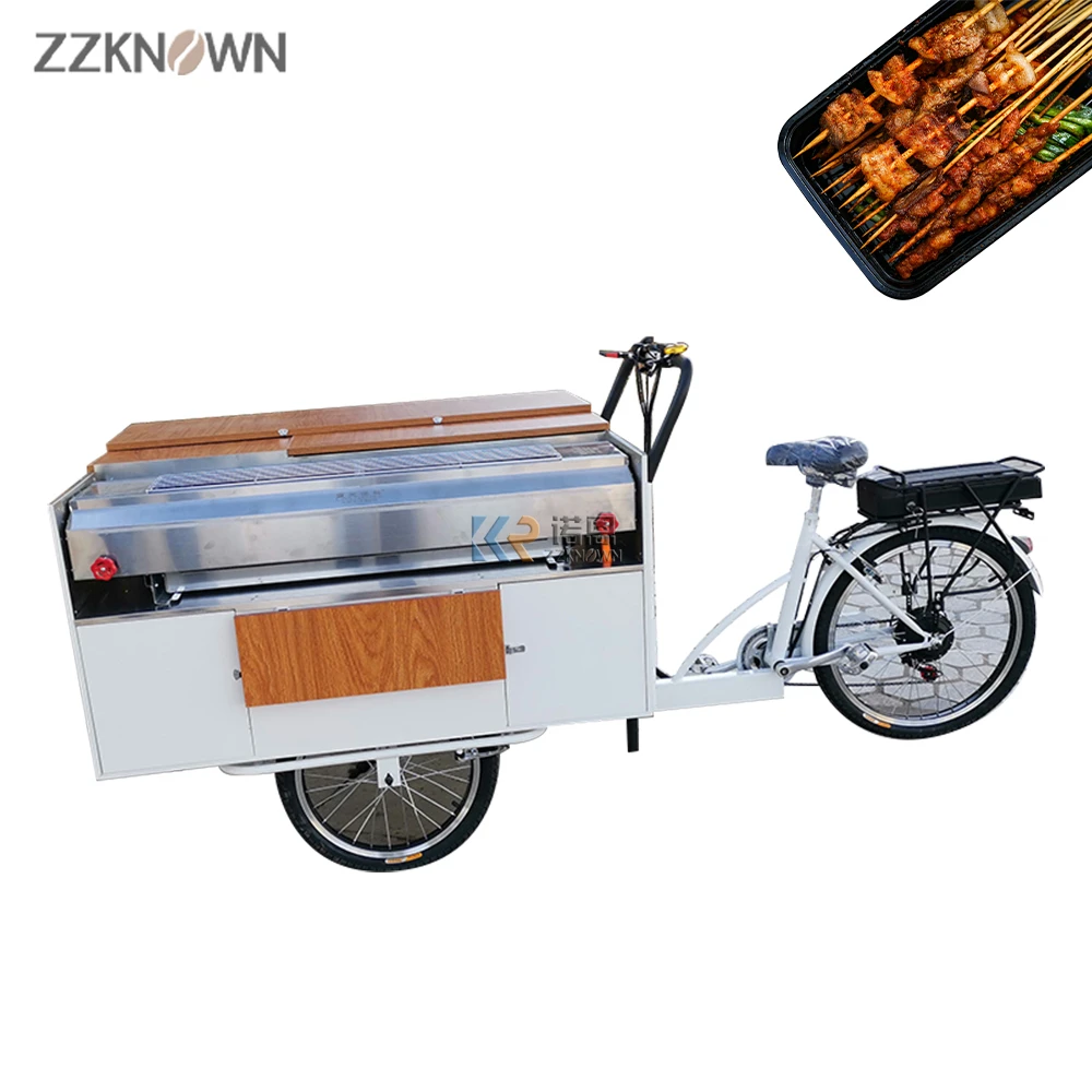 Beste Fahrradanhänger elektrische Unterstützung