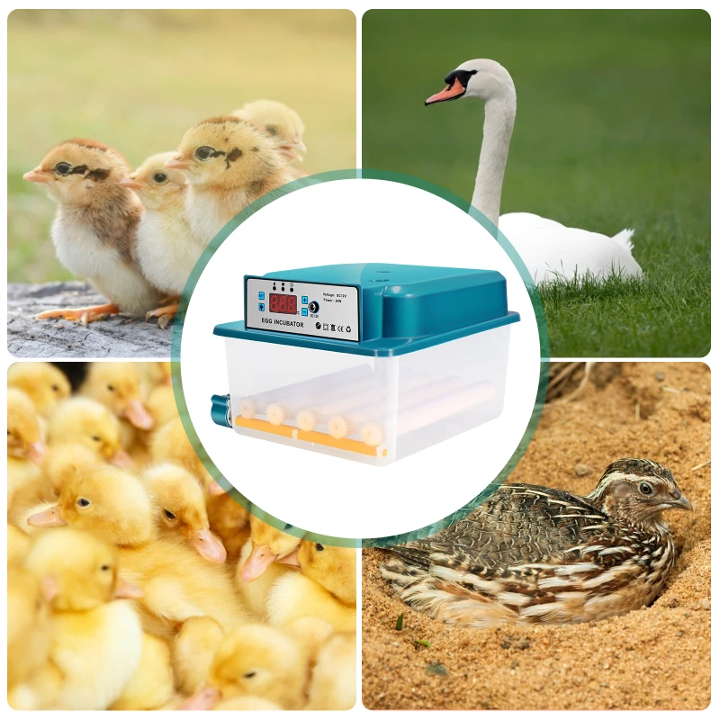 

16 Automatic Double Electric Egg Incubators Mini Incubator With Flipper Used To Hatch Goose And Quail Eggs