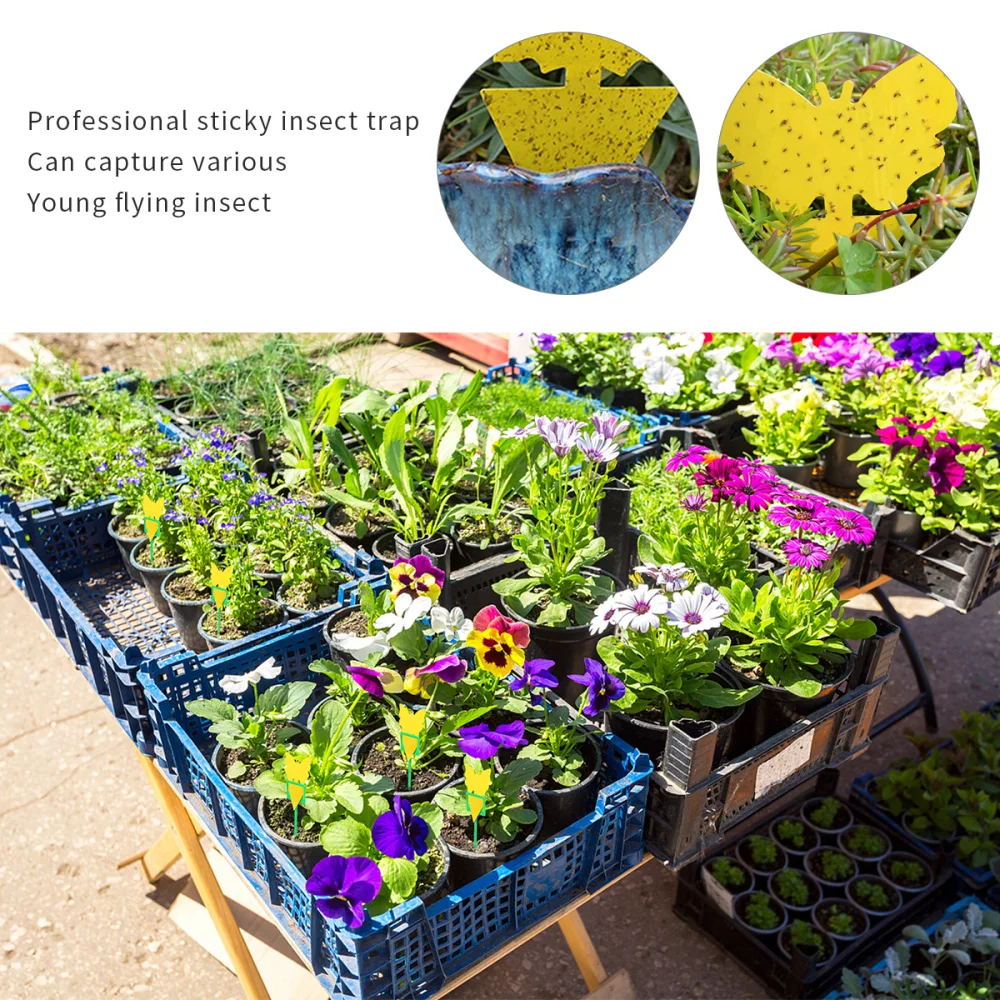 

100PCS/Set Insect Traps Sticky Yellow Sticky Trap for Fruit Fly Fungus Gnat