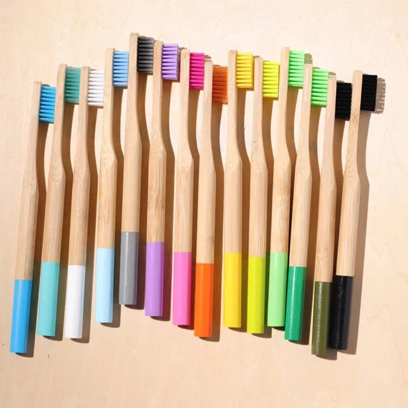 

Oral Hygiene