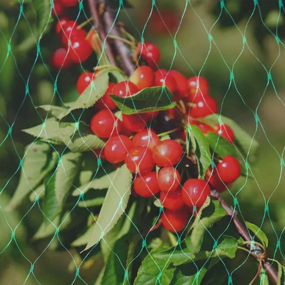 

Anti-bird Net Mesh Netting With 50 Cable Ties Protection Vegetables Durable 2*8M Garden Plant