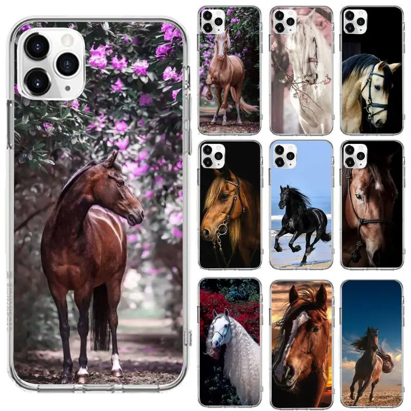 

Handsome Horse Animal Phone Cases Transparent for iPhone 6 7 8 11 12 s mini pro X XS XR MAX Plus cover funda shell