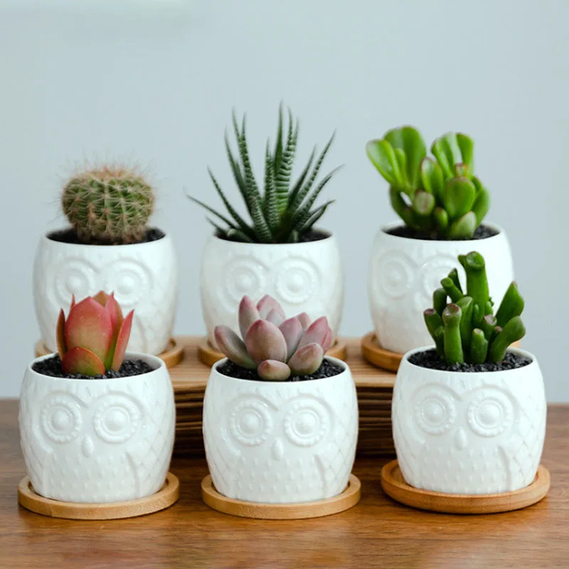 Домашнее украшение мини бонсай белый керамический цветочный плантатор