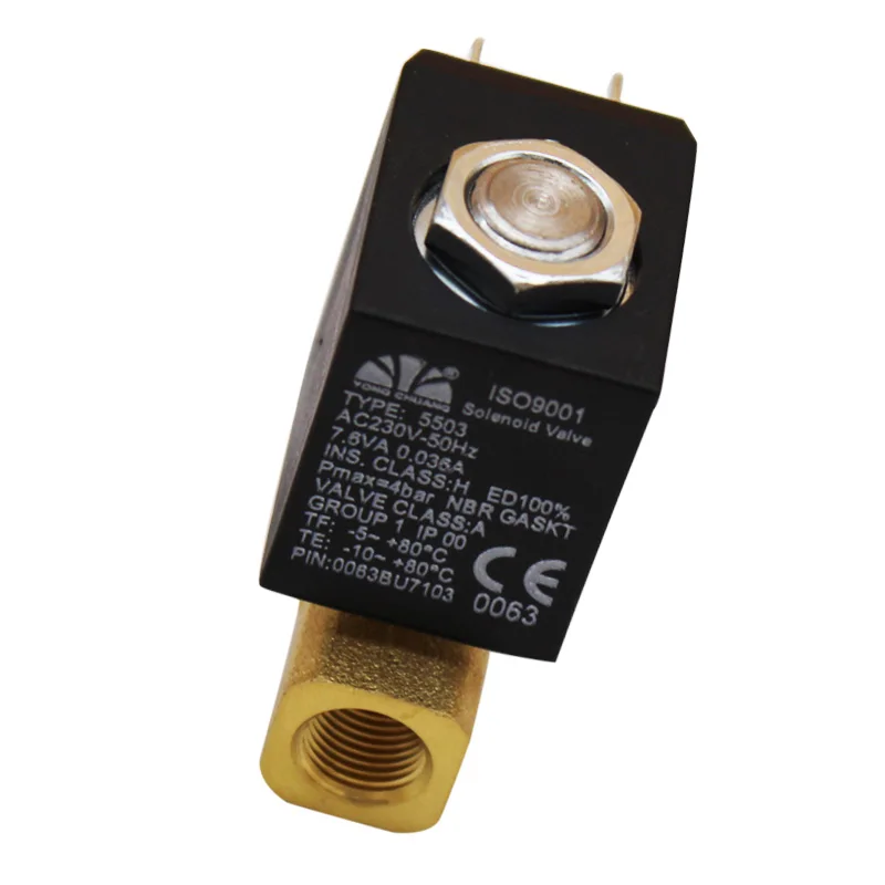 Заземляющая звезда пропановый газ AC220V нормально закрытый G1/8 &quotбезопасный