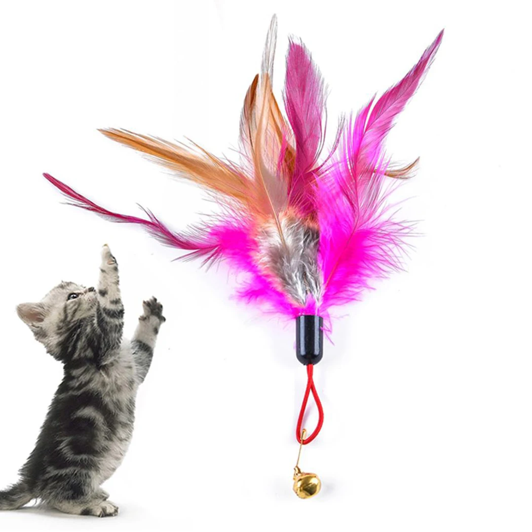 

10PCS Cat Teaser Creative Faux Feather Cat Training Toy Cat Teaser Replacement for Cats Training Toys Interactive Toys