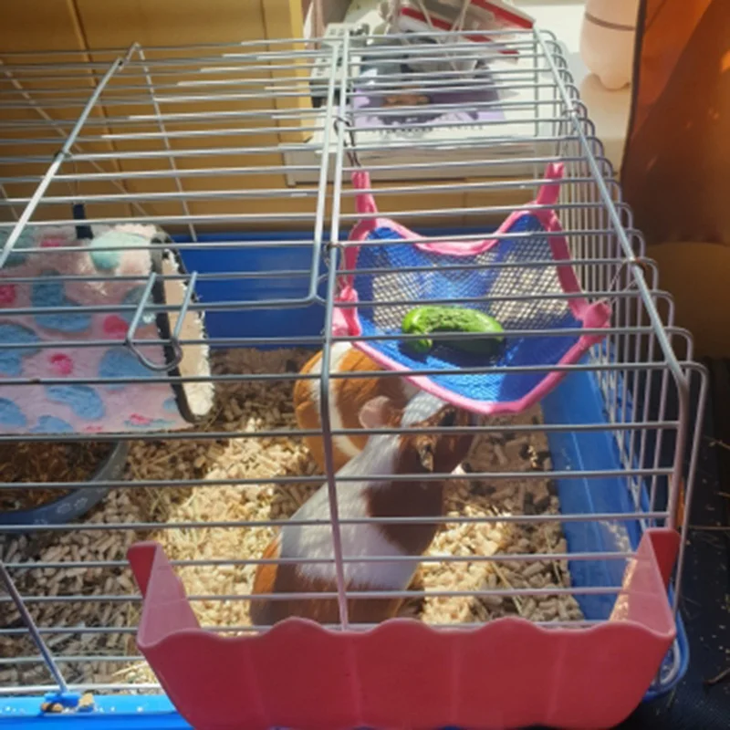 Новый гамак для домашних животных сетчатая подвесная кровать дышащая клетка