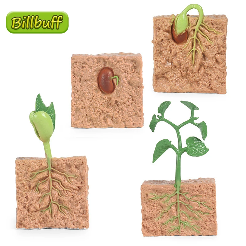 

Моделирование животный растительный ABS Осьминог ростки фасоли Фигурки Коллекция миниатюрный познания, обучающая игрушка для Детский подар...