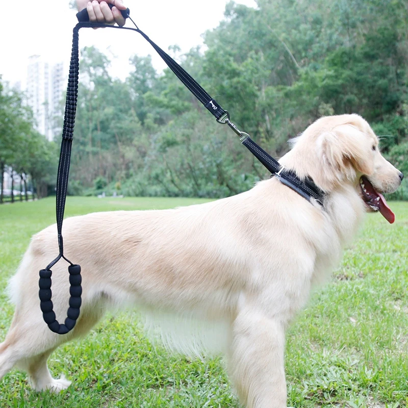 

Large Dog Elastic Bungee Training Leash, Dog Anti Pull Shock Absorbing Traction Rope With 2 Control Handles