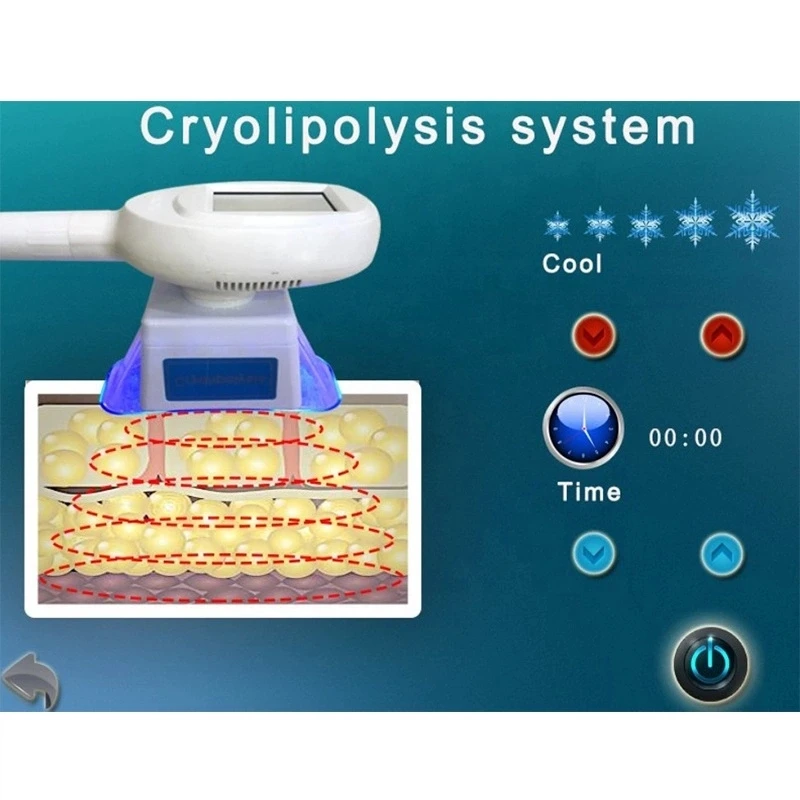 

Free Shipping! Professional Frozen Fat Body Shaping Slimming Painless Tech Machine for Home and Beauty Salon