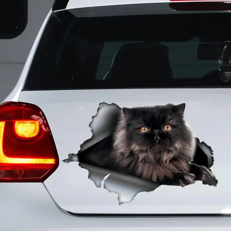 

2021 Black Persian cat car decal , cat magnet, black Persian cat sticker
