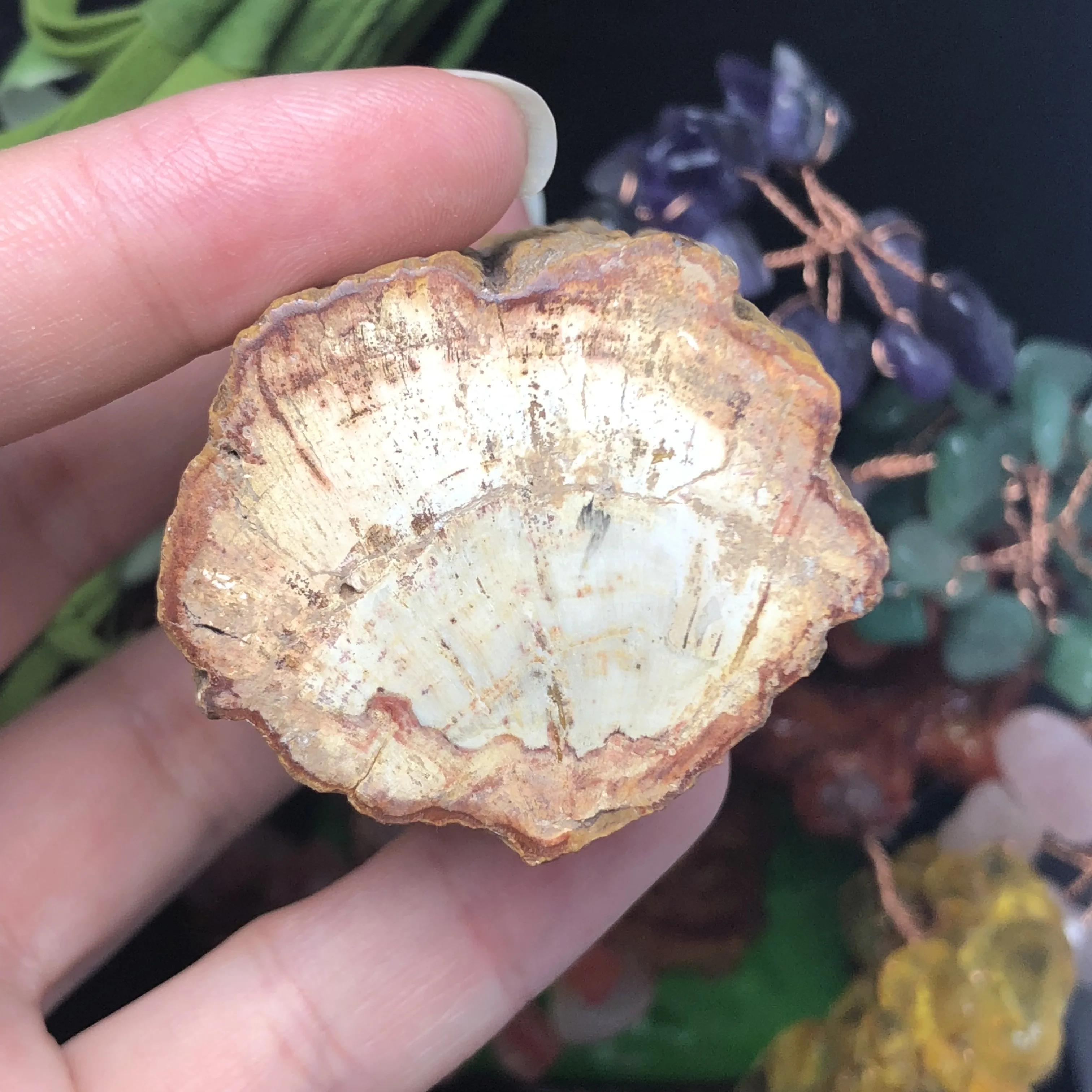 Натуральный окаменевшая древесина оригинальный камень сырой кварцевый минерал