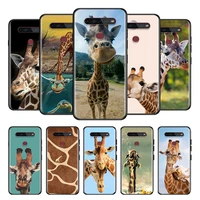 giraffes cute animal for lg g8 v30 v35 v40 v50 v60 q60 k40s k50s k41s k51s k61 k71 k22 thinq 5g phone case