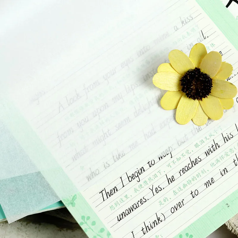 5 книг учебная книга на английском языке для каллиграфии набор упражнений