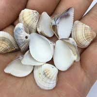 natural shell pendants fan shaped exquisite charms for jewelry making diy bracelet necklaces earrings accessories size 15x18mm