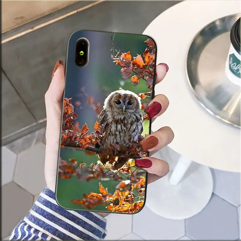 animal owl eyes phone accessories case for iphone 11 12 pro xs max xs xr 8 7 6 plus 5 5s se 12mini free global shipping