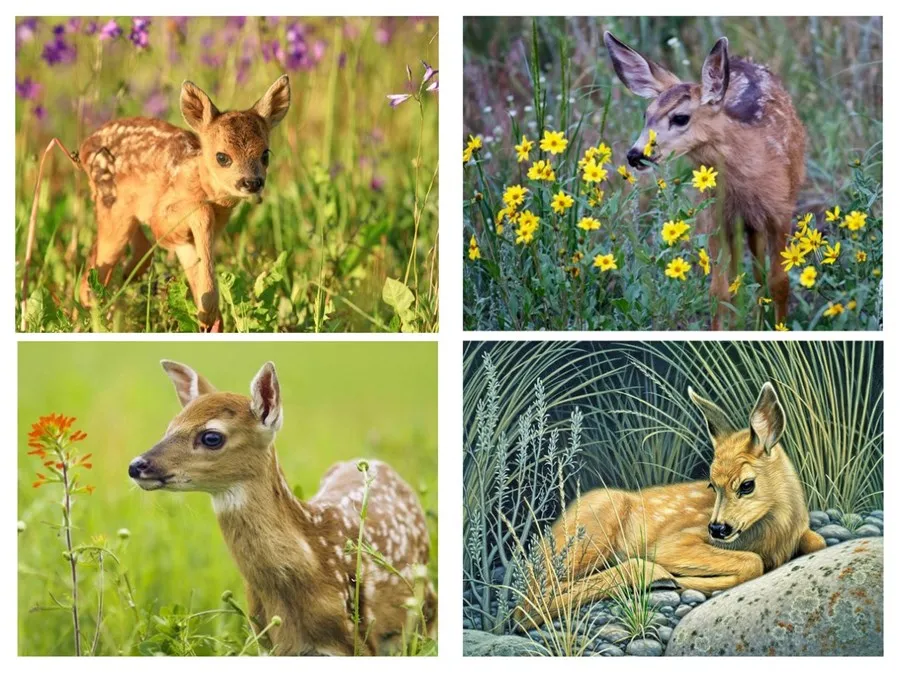 5D DIY Алмазная вышивка с животным оленем крестиком алмазная живопись дисплей