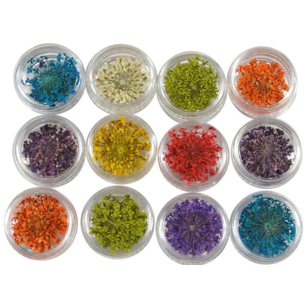

Nail Art Tools 12 Colors 3d Decoration Real Dry Dried Flower For Uv Gel Acrylic Nail Art Tips Nails Art Supplies Manicure