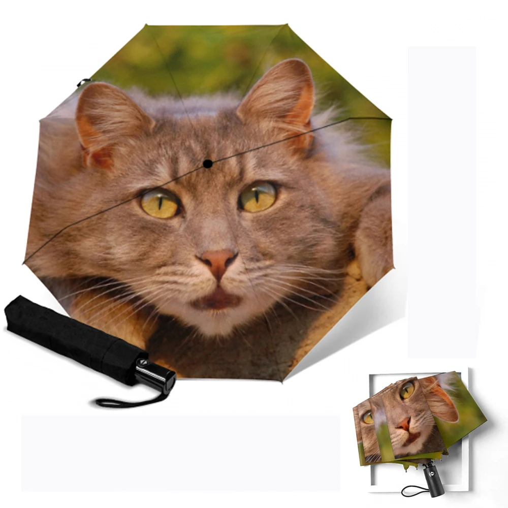 Детский складной зонт для женщин и кошек автоматический от дождя солнца с