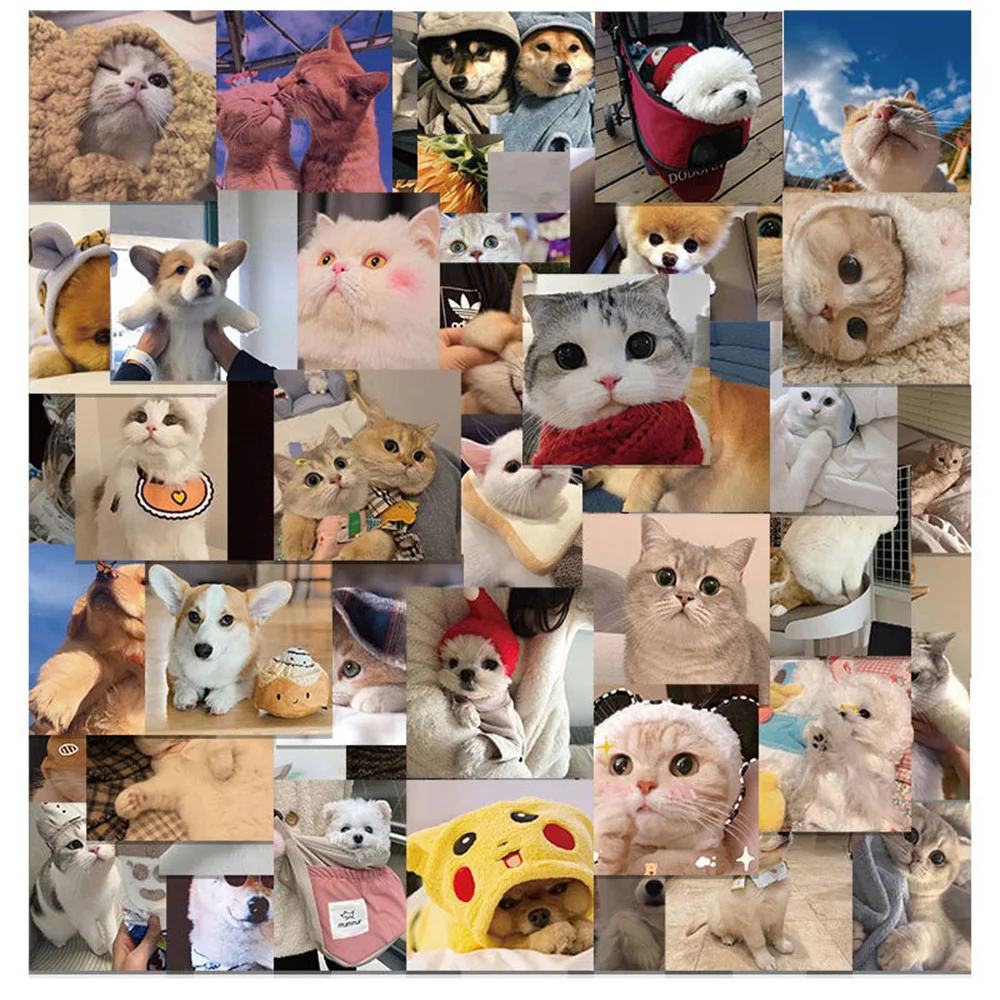 

10/30/50PCS Cute Net Red Cat Dog Expression Bag Graffiti Waterproof Sticker Suitcase Notebook RefrigeratorStationeryBoxWholesale