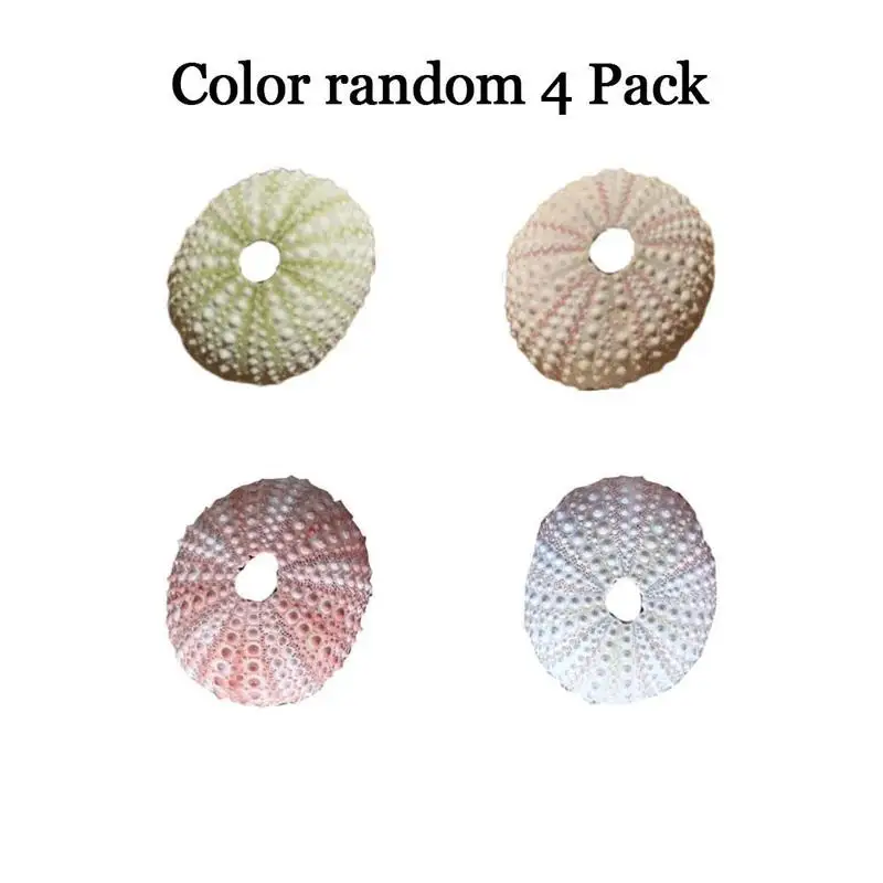 

4Pcs/set Color Random Natural Shell Conch Natural Shell Crafts Aquarium Decoration Special Tourist Area Crafts Accessories