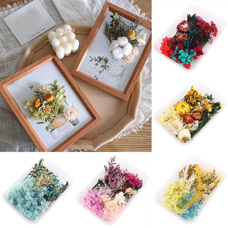 

Real Dried Flower Dry Plants For Aromatherapy Candle Epoxy Resin Pendant Necklace Jewelry Making Craft DIY Handcraft Accessories