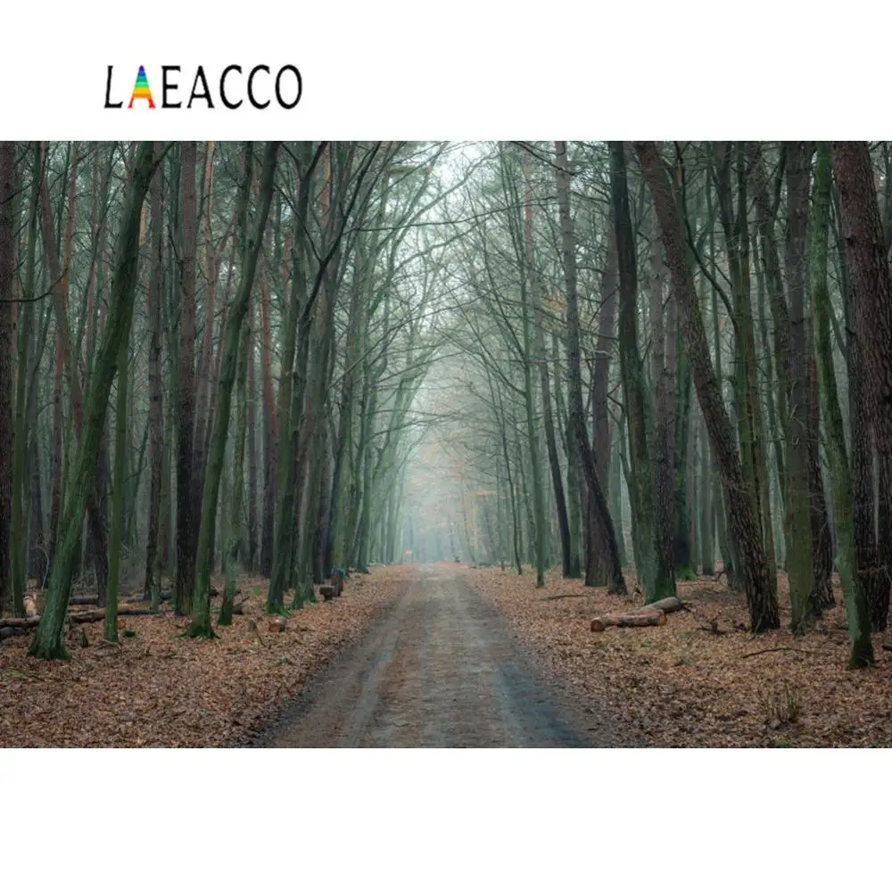 Laeacco фон для фотосъемки старый Темный лес осенние упавшие листья сцена